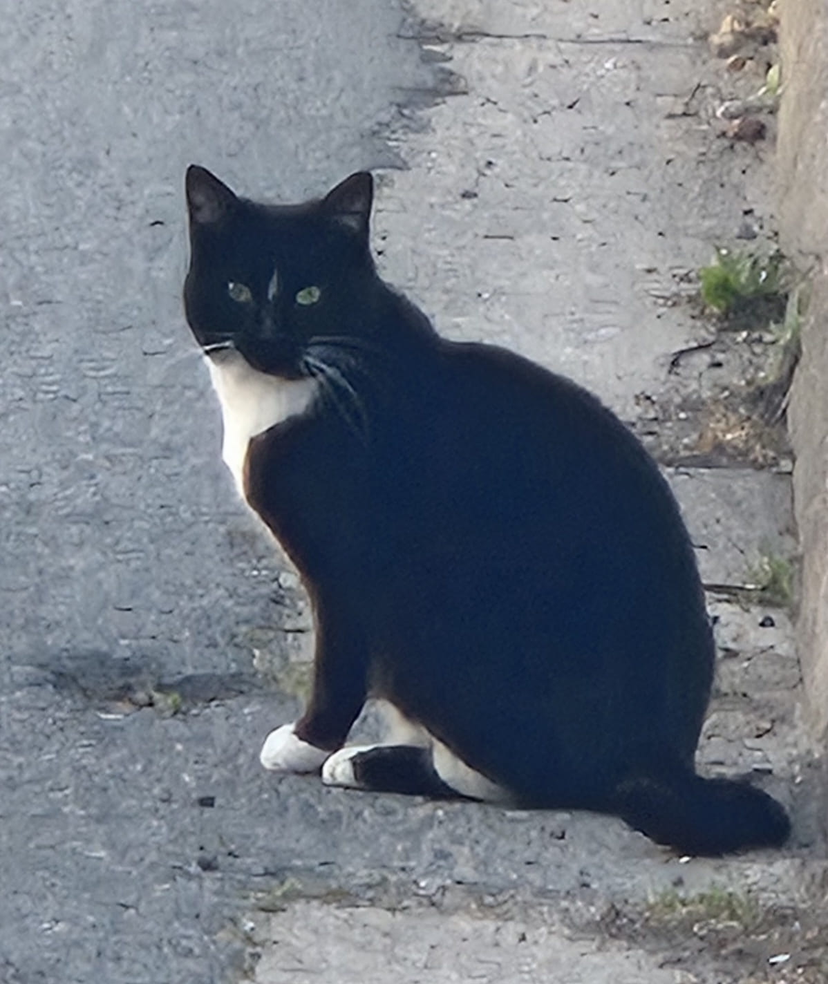 Chaussette